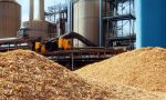 Wood Chips in a Pulp Mill